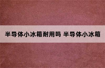 半导体小冰箱耐用吗 半导体小冰箱